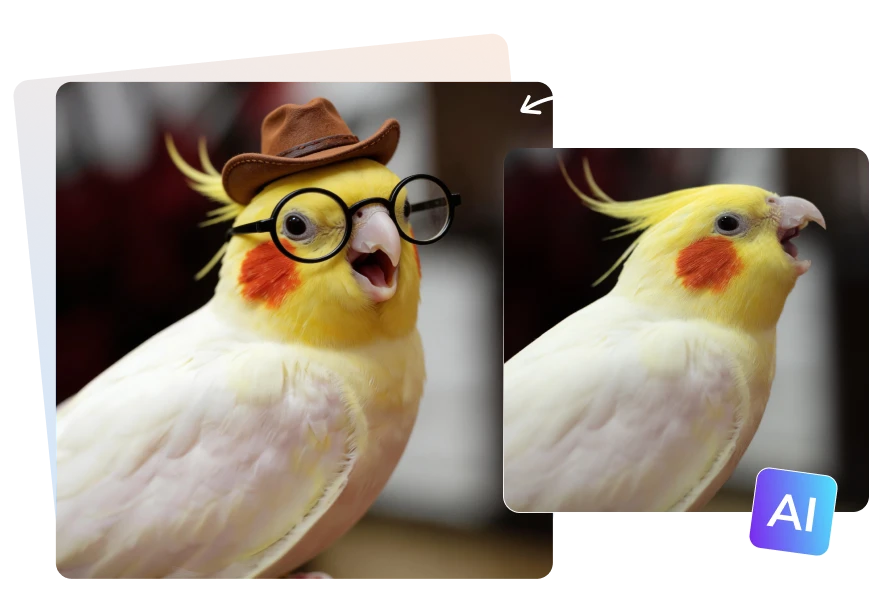 avclabs cute pet drawings maker