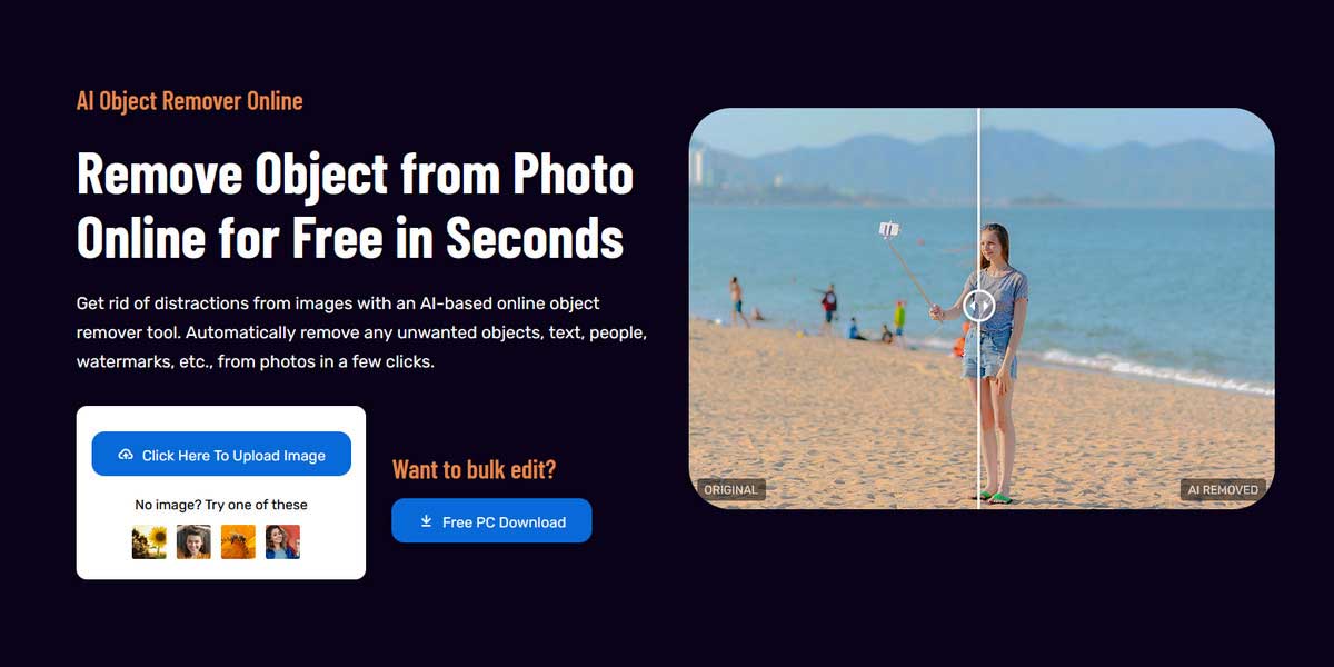 Remove Object from Photo Online for Free with AI | AVCLabs