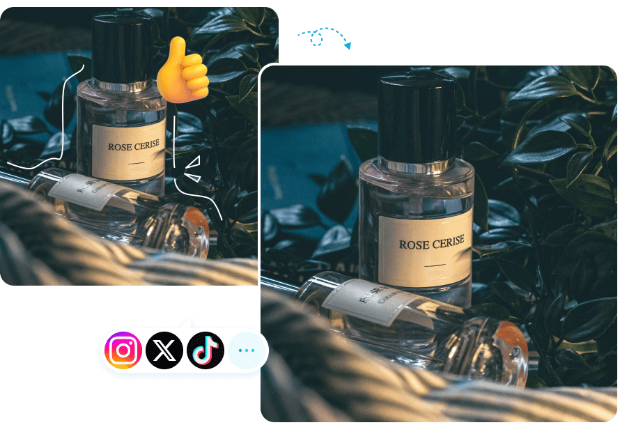 avclabs remove water mark from video