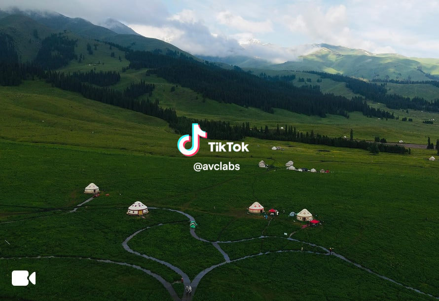 remove watermark from video before
