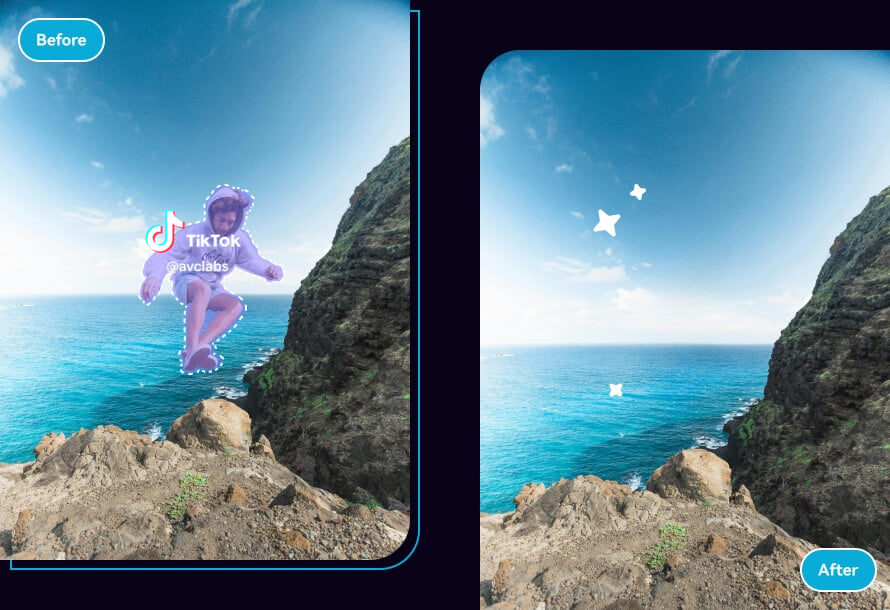 avclabs tiktok watermark remover