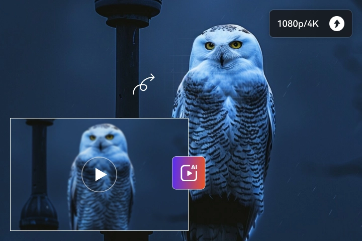 any video converter 4k video converter
