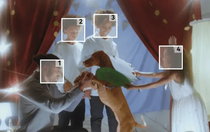 blur face in video in 2 modes