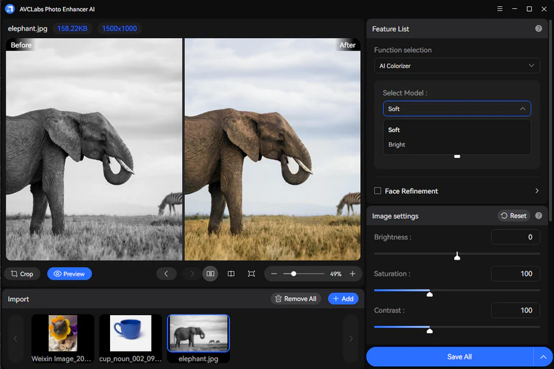 avclabs photo enhancer ai image colorizer