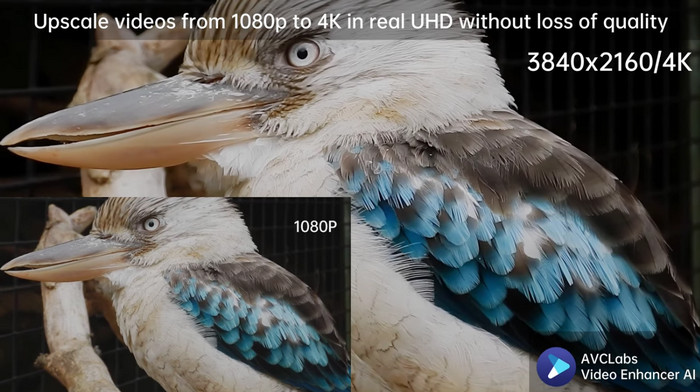 AI video upscaling sample