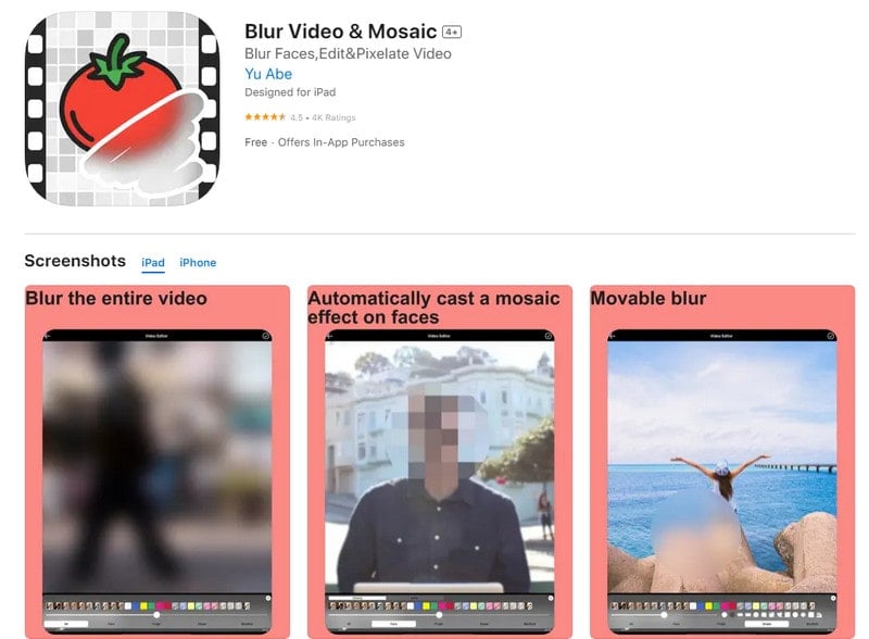 apply the Video Mosaic app to blur faces in videos