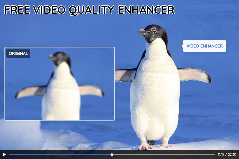 Avclabs Video Enhancer Ai Free: Transform Your Videos with Powerful Enhancement