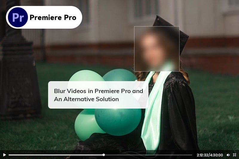 blur videos in Premiere Pro and an alternative solution
