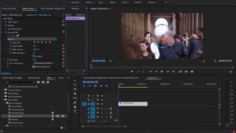 premiere pro blur video