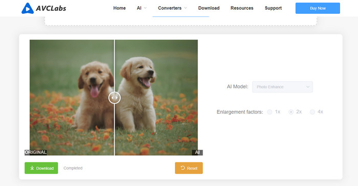 preview and download online