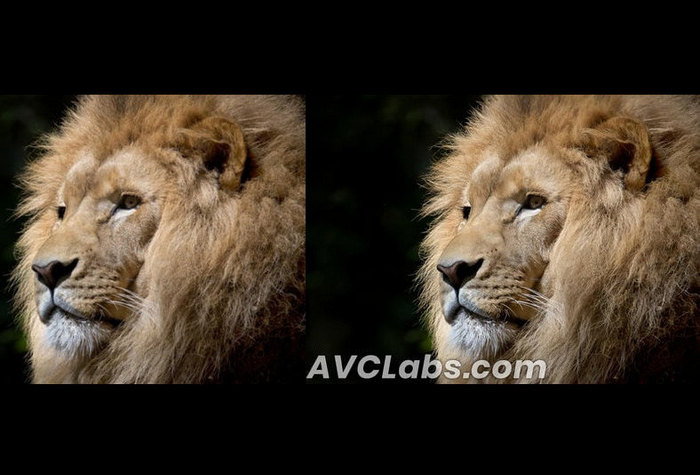 AI Enhances Photo Quality in One Click