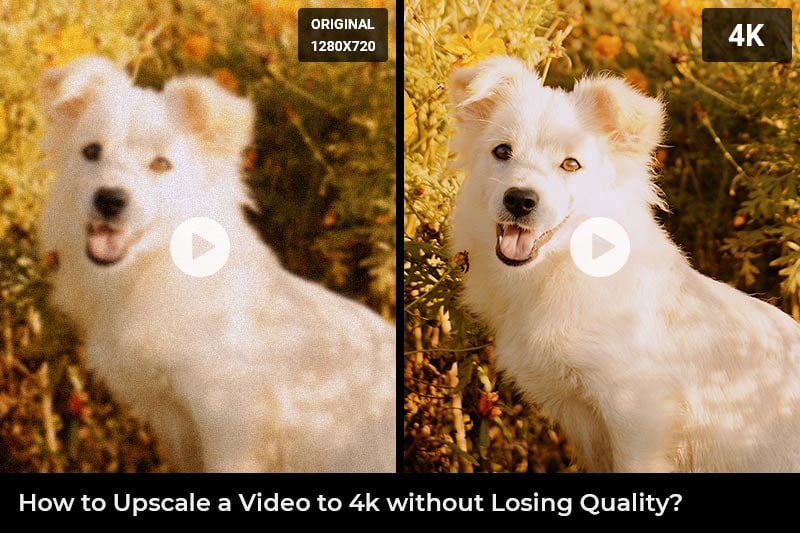 upscale videos to 4k without losing quality