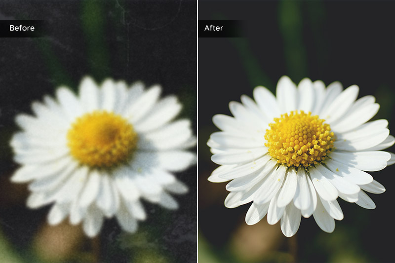 make macro photos sharper