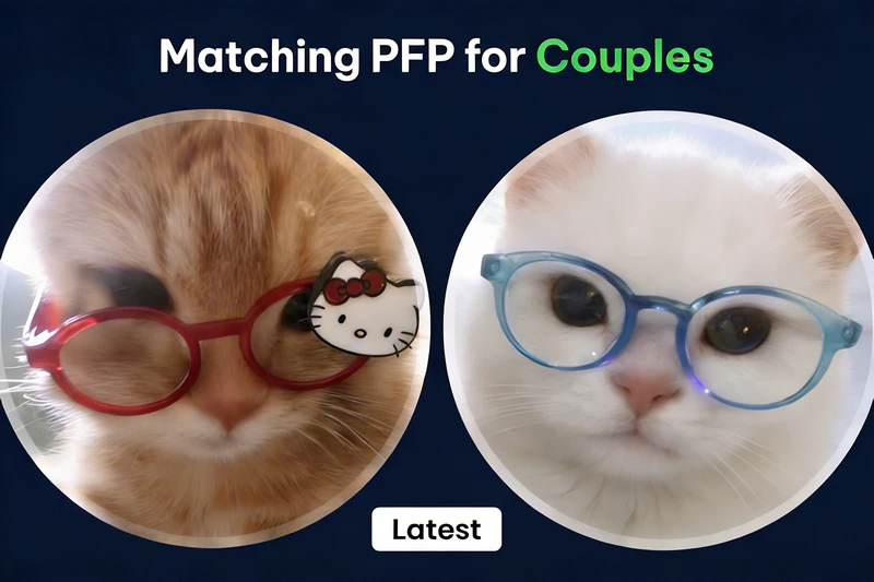 matching pfp for couples