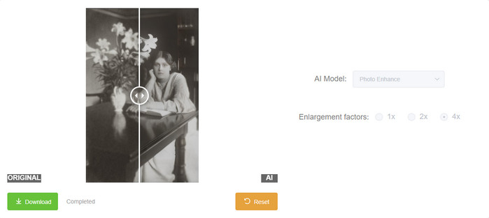 preview and download online