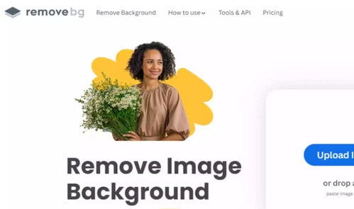 remove image background online by Remove.bg