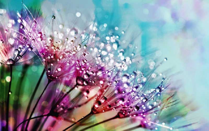 sharpen macro photography