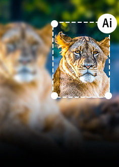 avclabs photo enhancer ai