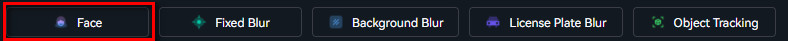 face blur option