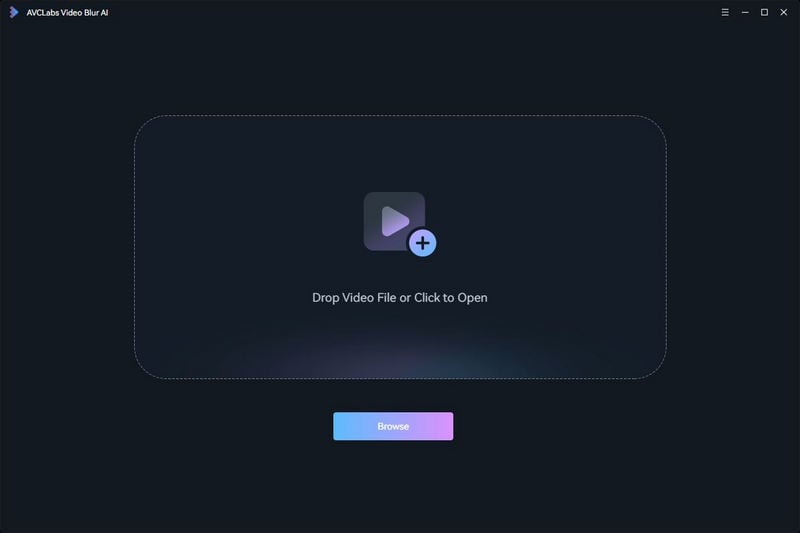 program interface of AVLabs Video Blur AI