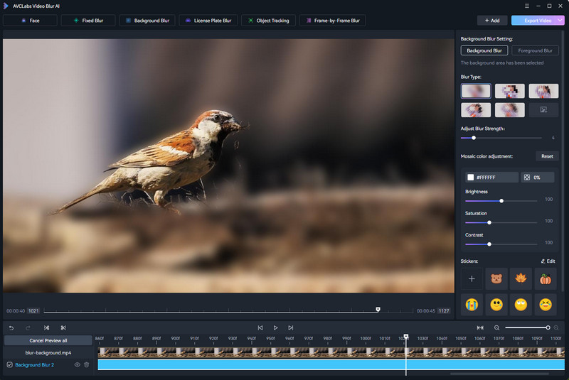 blur video background