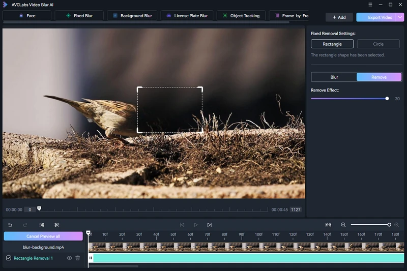 remove objects from video