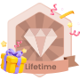 Lifetime