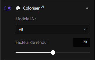 Coloriser